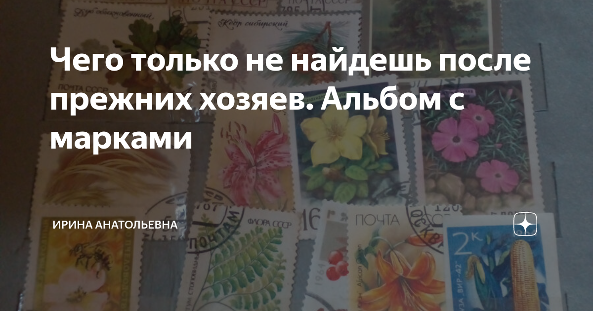 Чего только не найдешь после прежних хозяев. Альбом с марками | Ирина ...