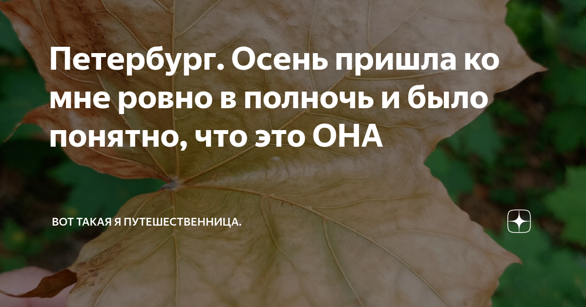 Петербург. Осень пришла ко мне ровно в полночь и было понятно, что это ...