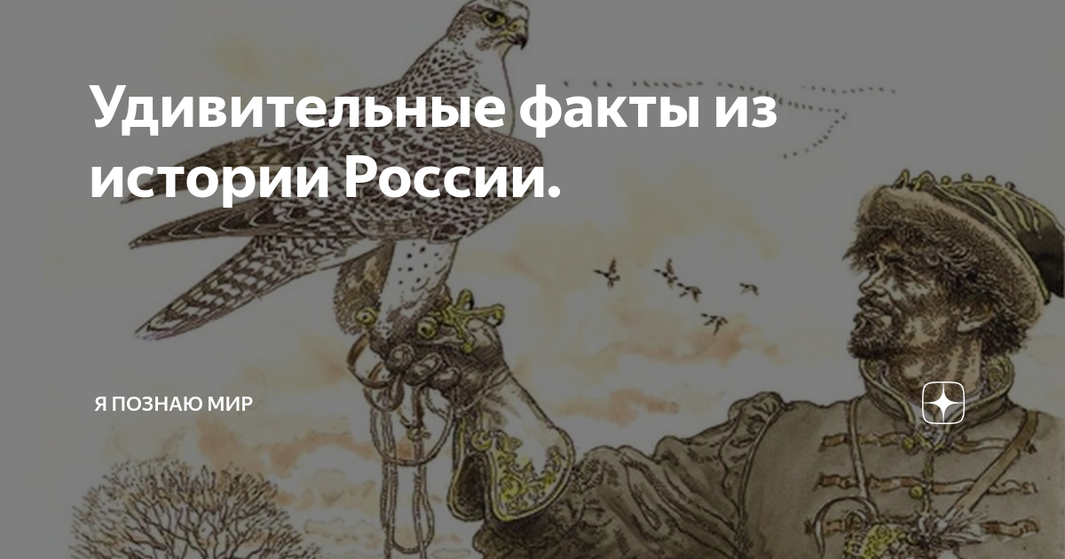 Сокули: что это значит и каково было их влияние на историю