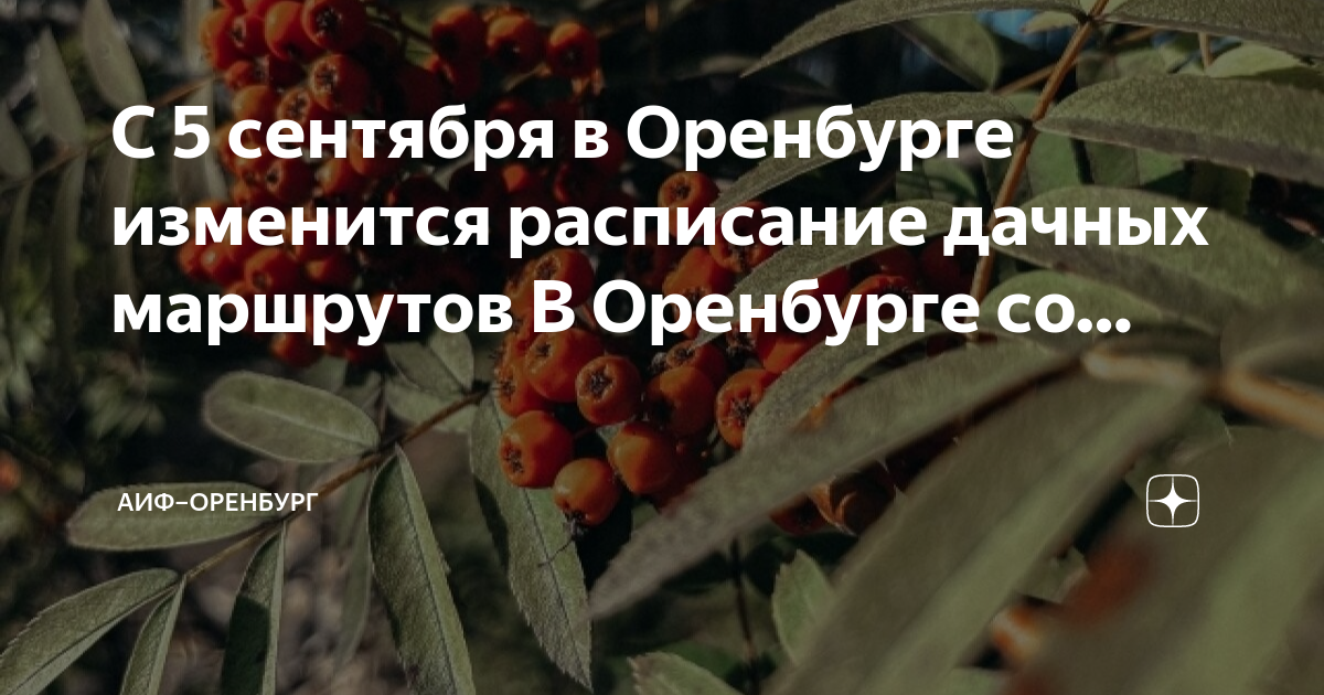 196 дачный автобус оренбург. Расписание дачных автобусов Оренбург. Новое расписание дачных автобусов Оренбург. Оренбург расписание дачных маршрутов на 2024г. Расписание дачных автобусов в Оренбурге на 2024.