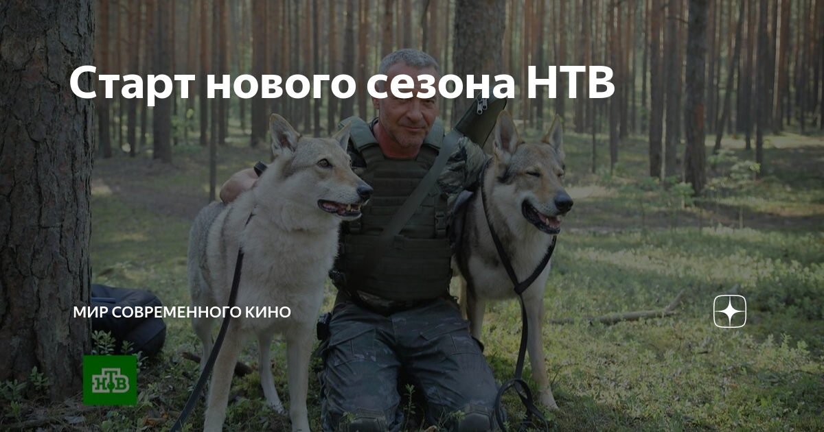 Старт нового сезона НТВ | Мир современного кино | Дзен