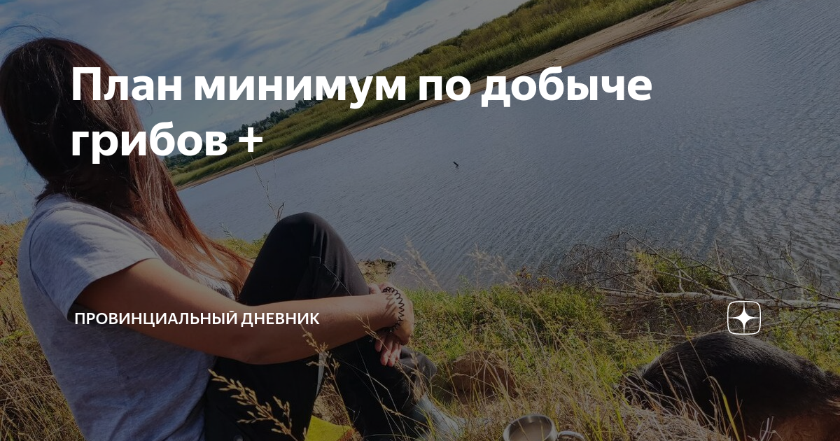 План минимум по добыче грибов + | Провинциальный дневник | Дзен