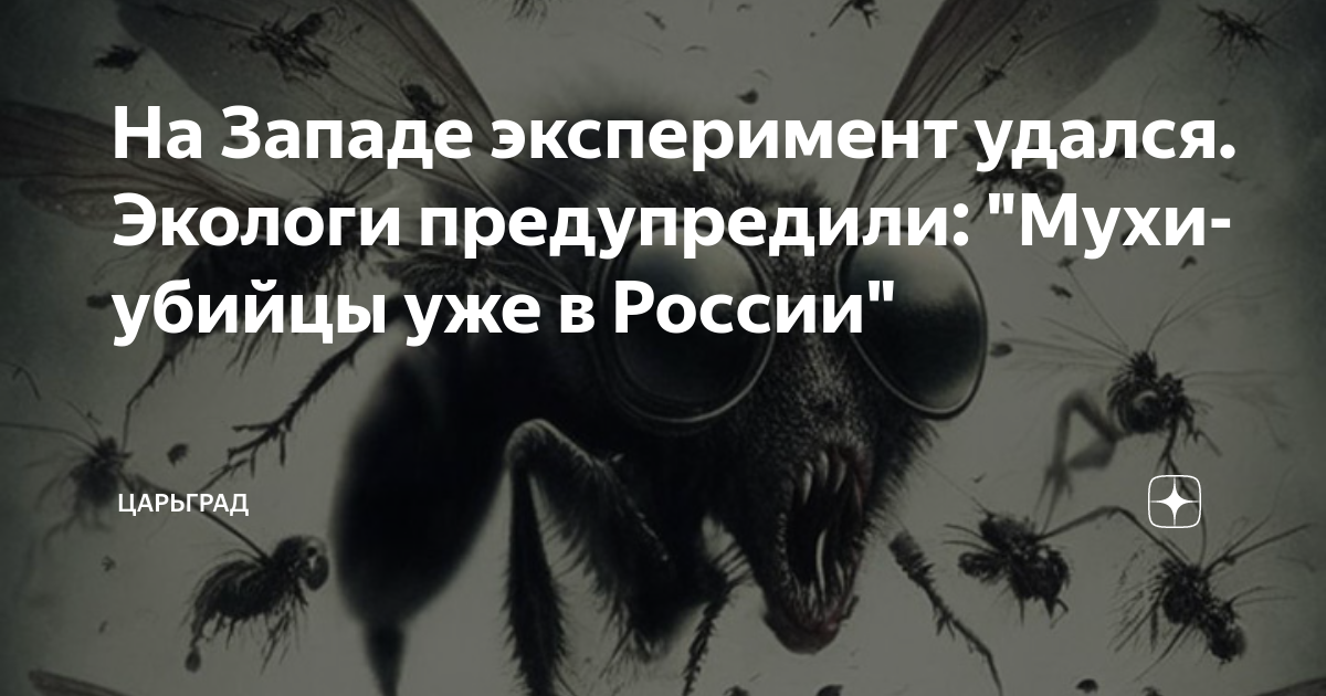 Эксперимент по выращиванию плесени. Чкмирули грузинское блюдо блюдо чкмерули. Эксперимент удался. Эксперимент удался. Опыт выращивания плесени.