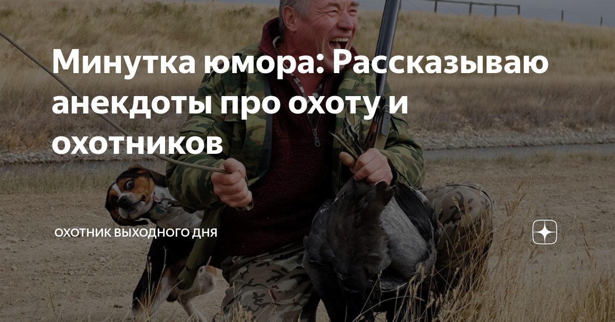 анекдот про медведя и охотника