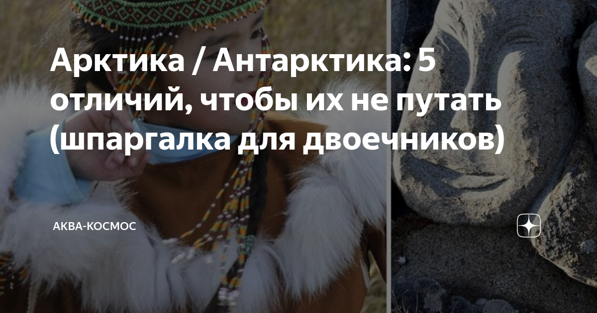 арктический и антарктический