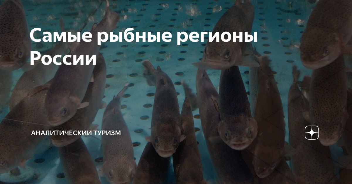 Рыбопромышленный комплекс сахалина. Рыбный регион. Добыча рыбы. Рыбный рынок в астрахани. Добыча рыбы.