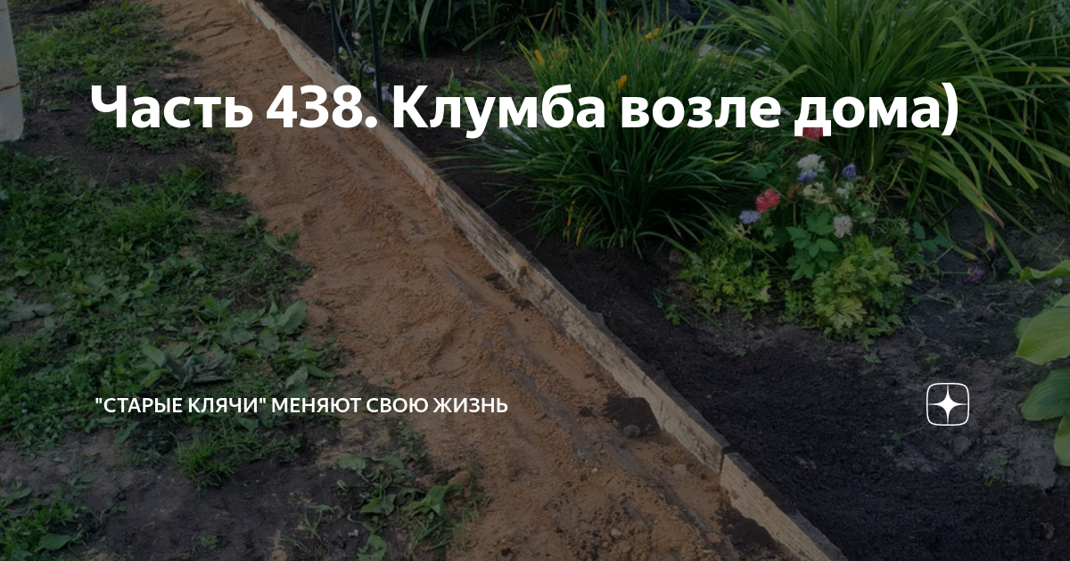Часть 438. Клумба возле дома) | "Старые клячи" | Дзен