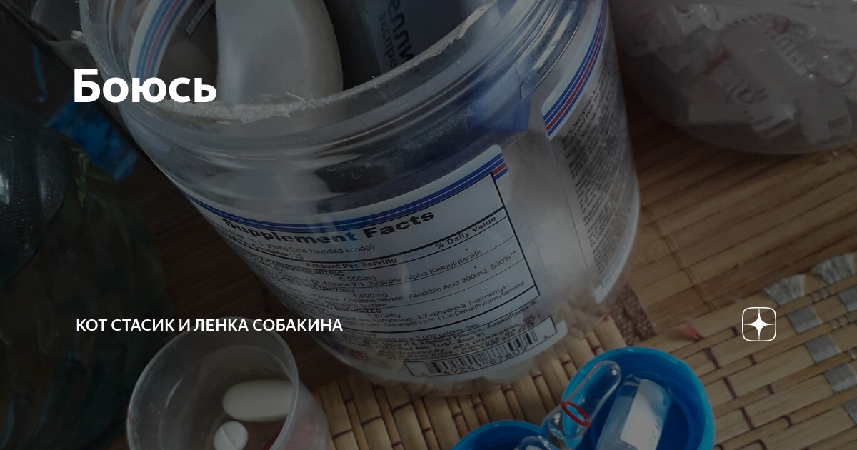 Боюсь | Пенсионерка Собакина и ее кот Стасик. | Дзен