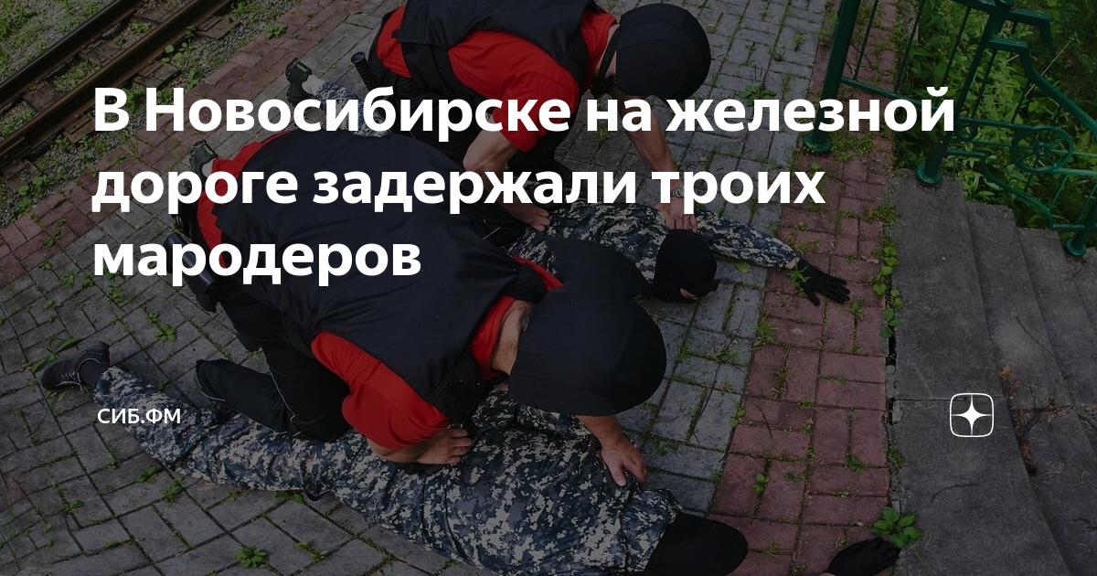 В Новосибирске на железной дороге задержали троих мародеров | Главные