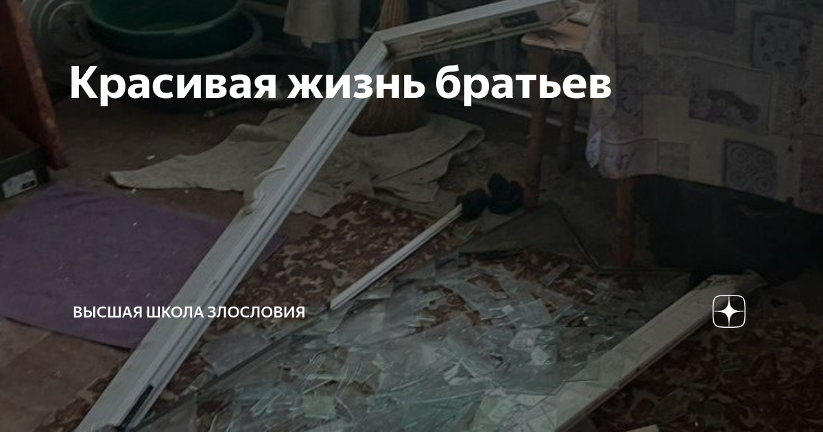 Красивая жизнь братьев | Высшая школа злословия | Дзен