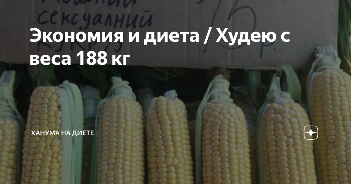 Экономия и диета / Худею с веса 188 кг | Ханума на диете | Дзен