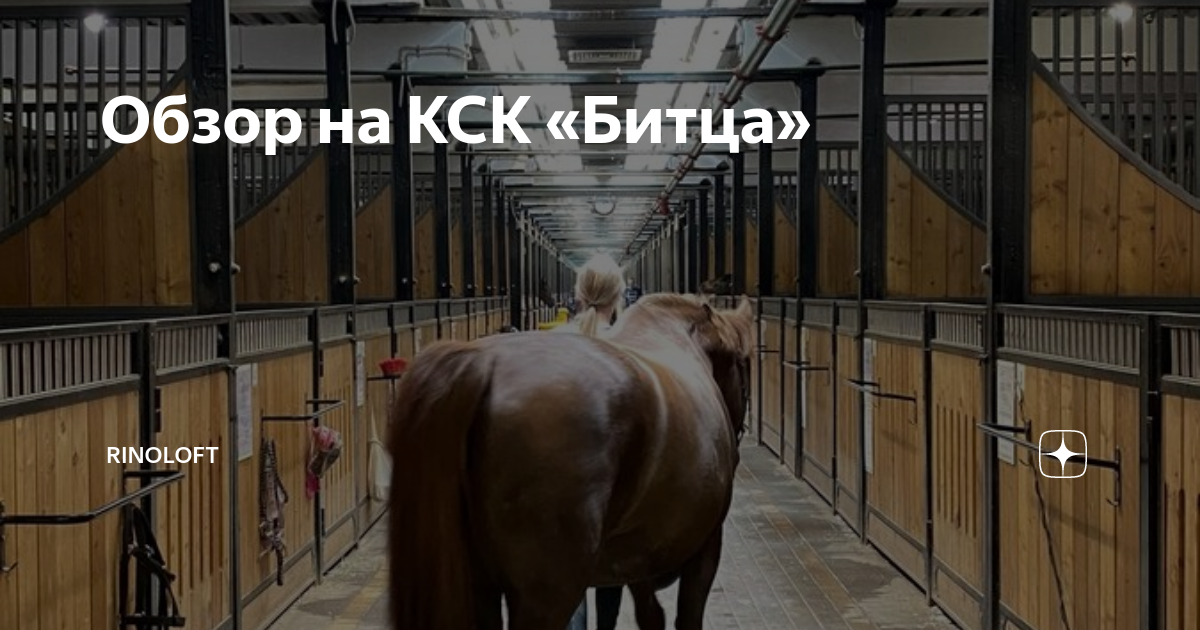 Обзор на КСК «Битца» | RinoLoft | Дзен