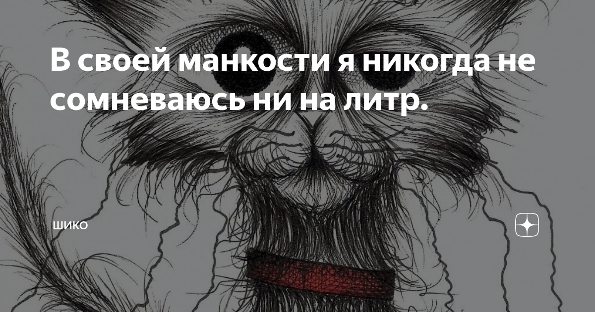 В своей манкости я никогда не сомневаюсь ни на литр. | Шико | Дзен