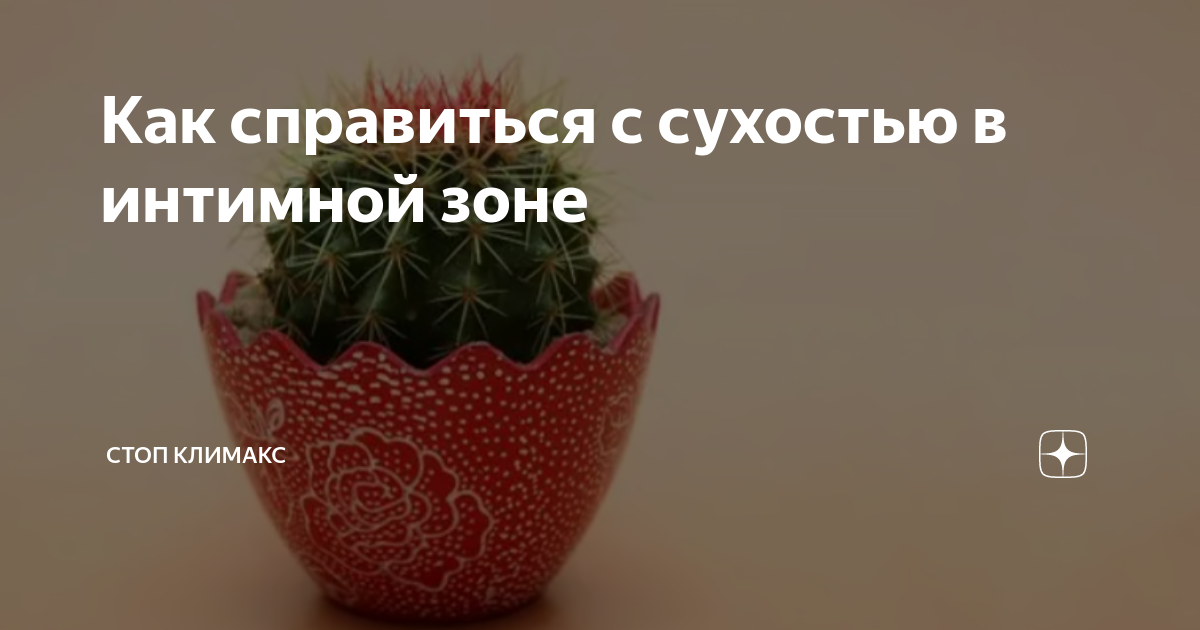 Как справиться с сухостью в интимной зоне | Стоп Климакс | Дзен