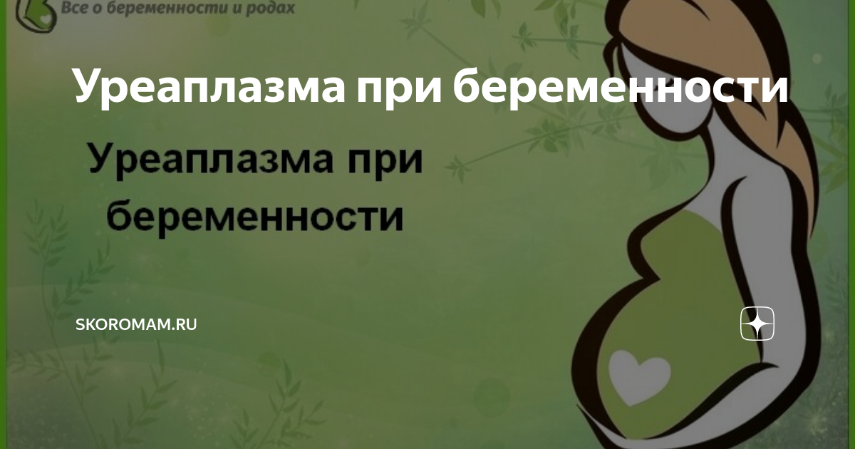 Уреаплазма при беременности