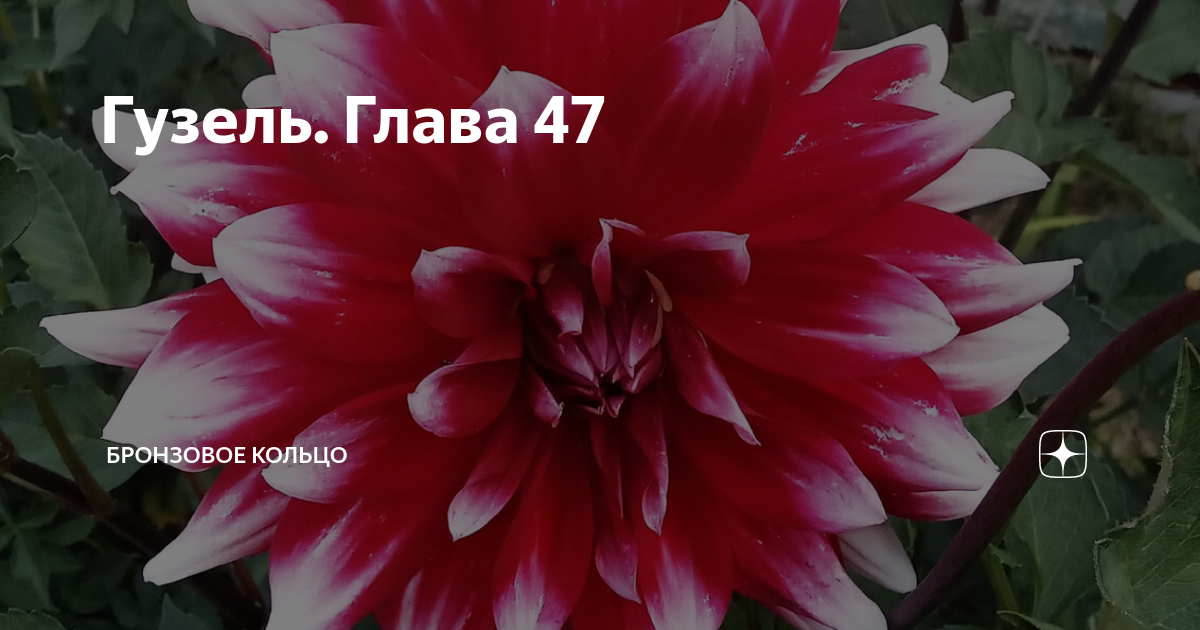 Гузель. Глава 47 | Бронзовое кольцо | Дзен
