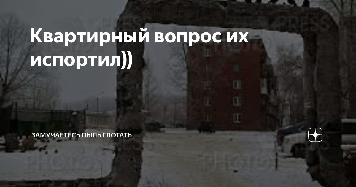 Квартирный вопрос их испортил)) | Замучаетесь пыль глотать | Дзен