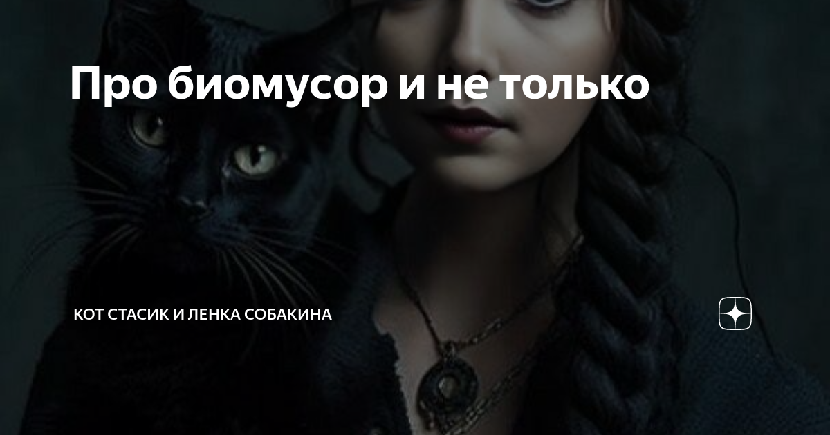 Кот стасик и ленка собакина. Кот стасик. Shirley deaville картины. Кот стасик и ленка собакина. Stay megan davies lyrics.