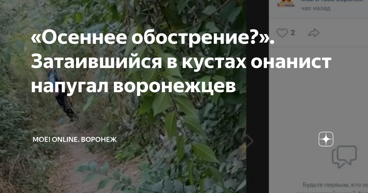 Онанист в кустах порно. Смотреть онанист в кустах порно онлайн