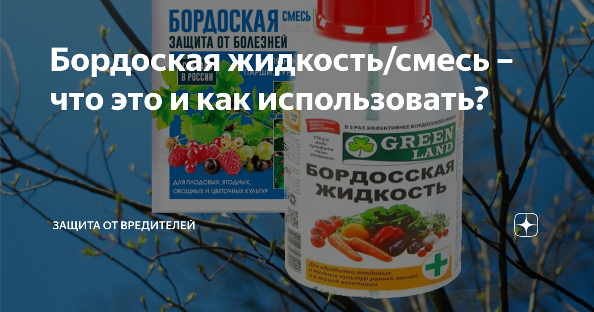 фунгициды бордовская смесь. приготовление бордосской жидкости. приготовить 3 бордосскую жидкость. опрыскивание бордосской жидкостью. бордоская 1% бордосская жидкость.