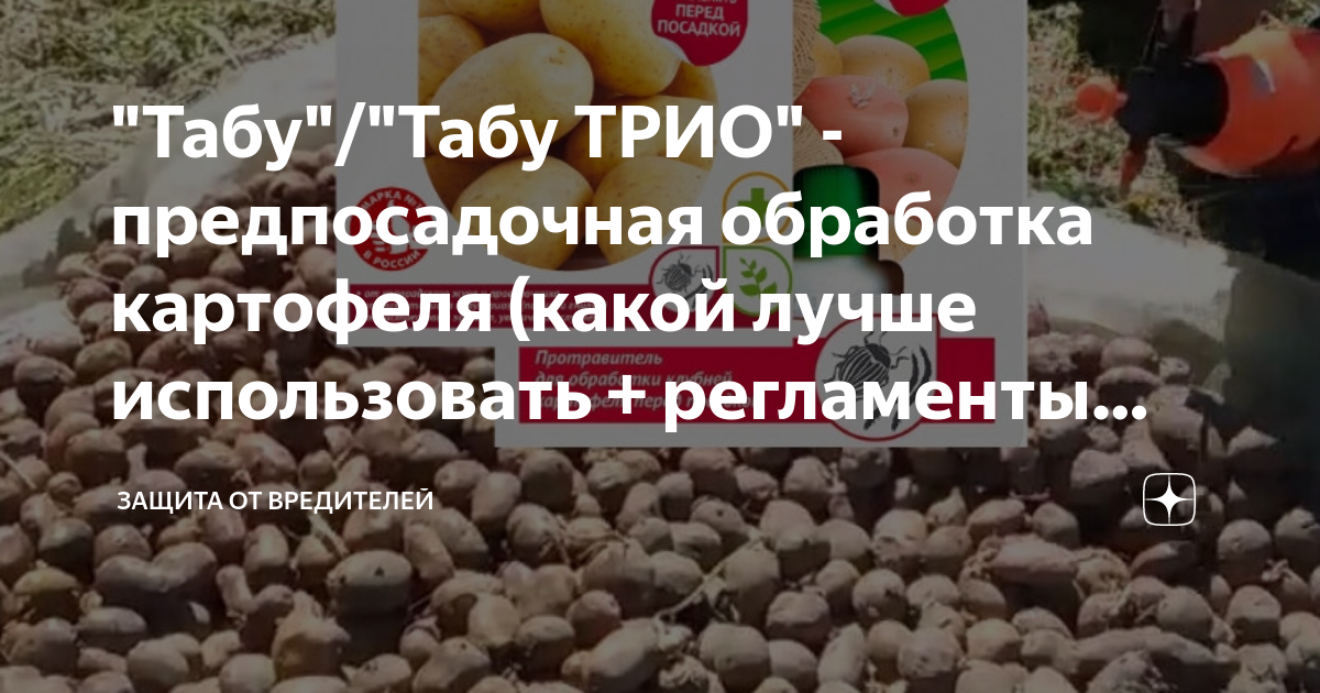 Применение табу трио