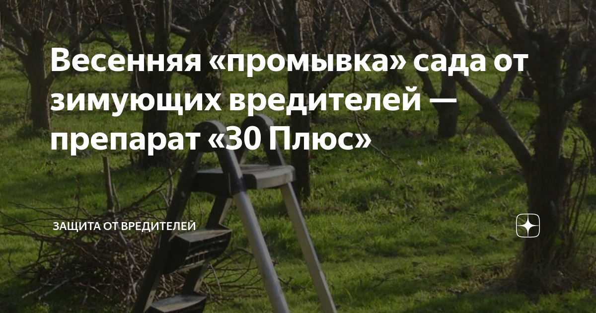 Весенняя «промывка» сада от зимующих вредителей — препарат «30 Плюс ...