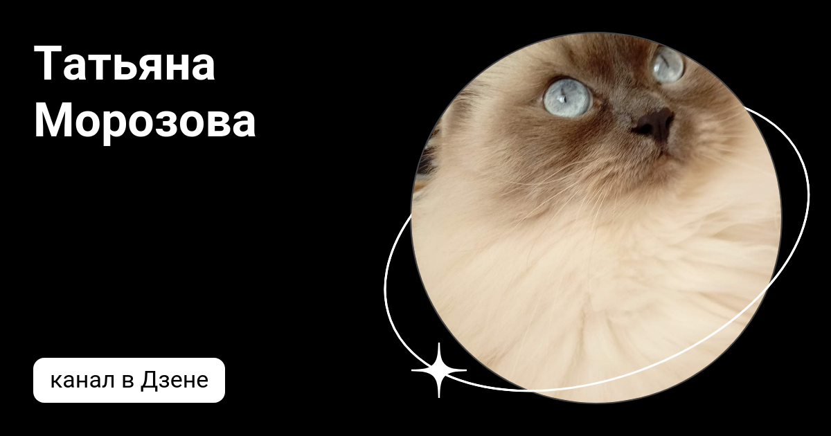 Канал татьяны морозовой дзен. Канал татьяны морозовой дзен. Канал татьяны морозовой дзен. Канал татьяны морозовой дзен. Мысик марина анатольевна.