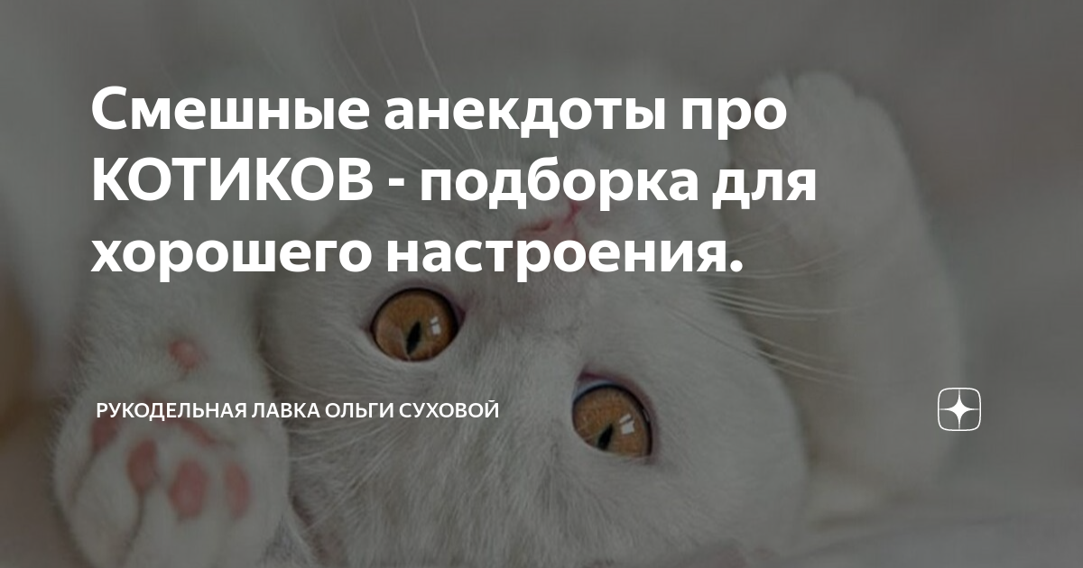 анекдот про кошку и бензин