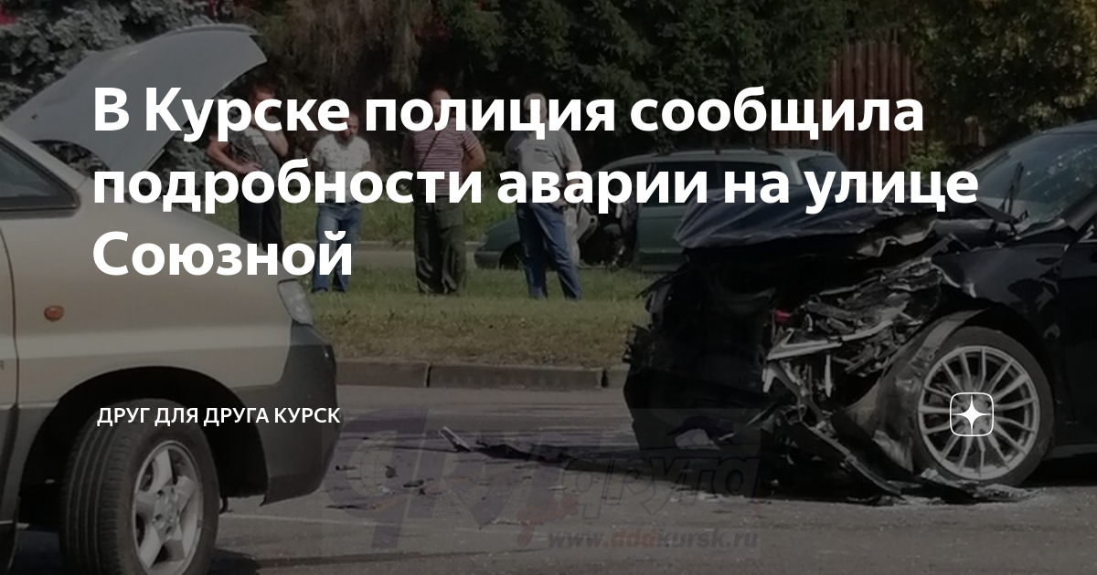 друг для друга курск новости сегодня последние