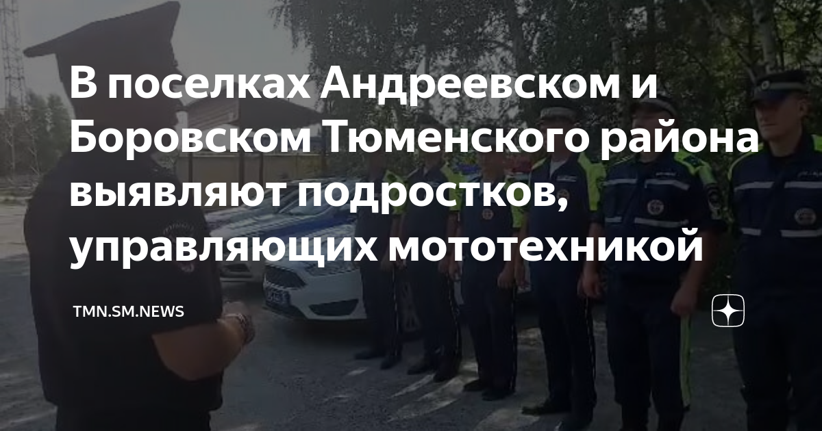 В поселках Андреевском и Боровском Тюменского района выявляют