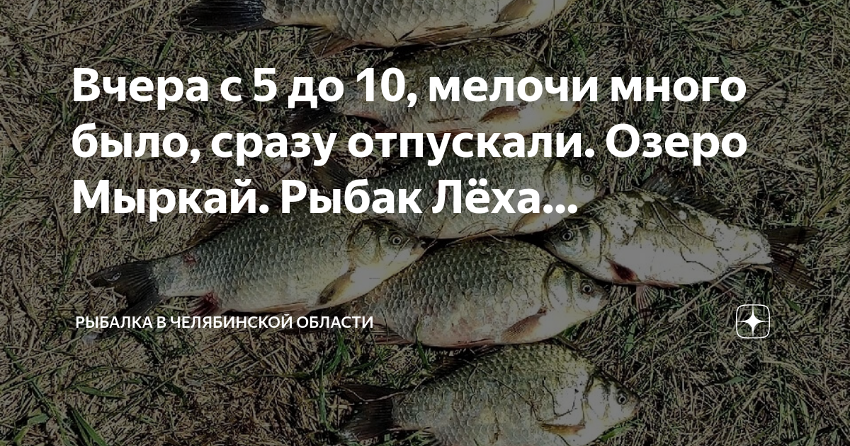 Рыбалка леша