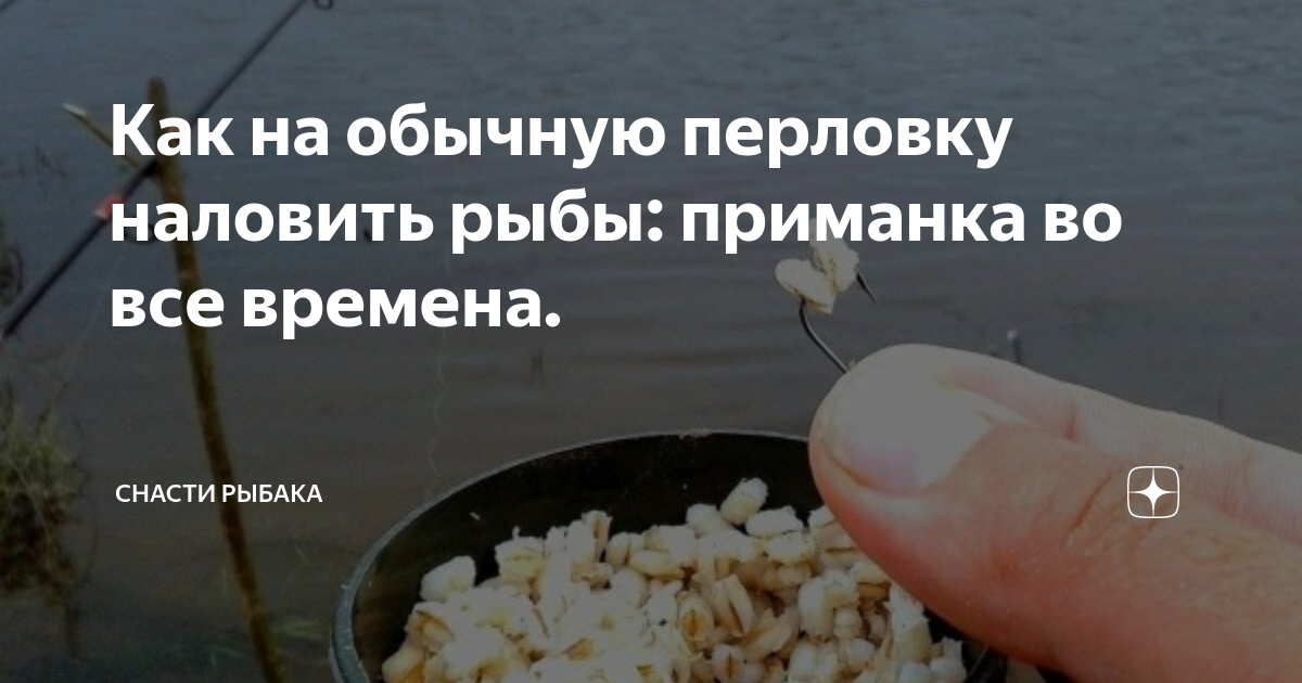 Как на обычную перловку наловить рыбы: приманка во все времена ...
