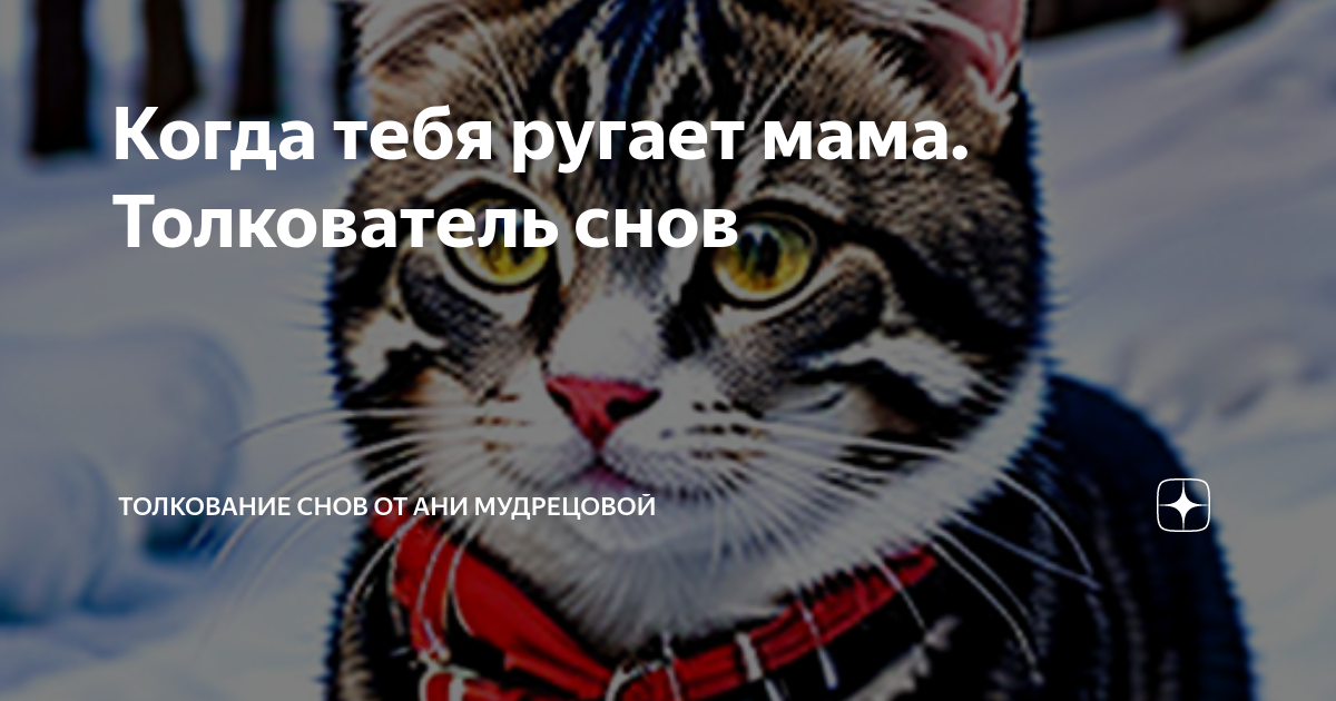 К чему снится ругать маму