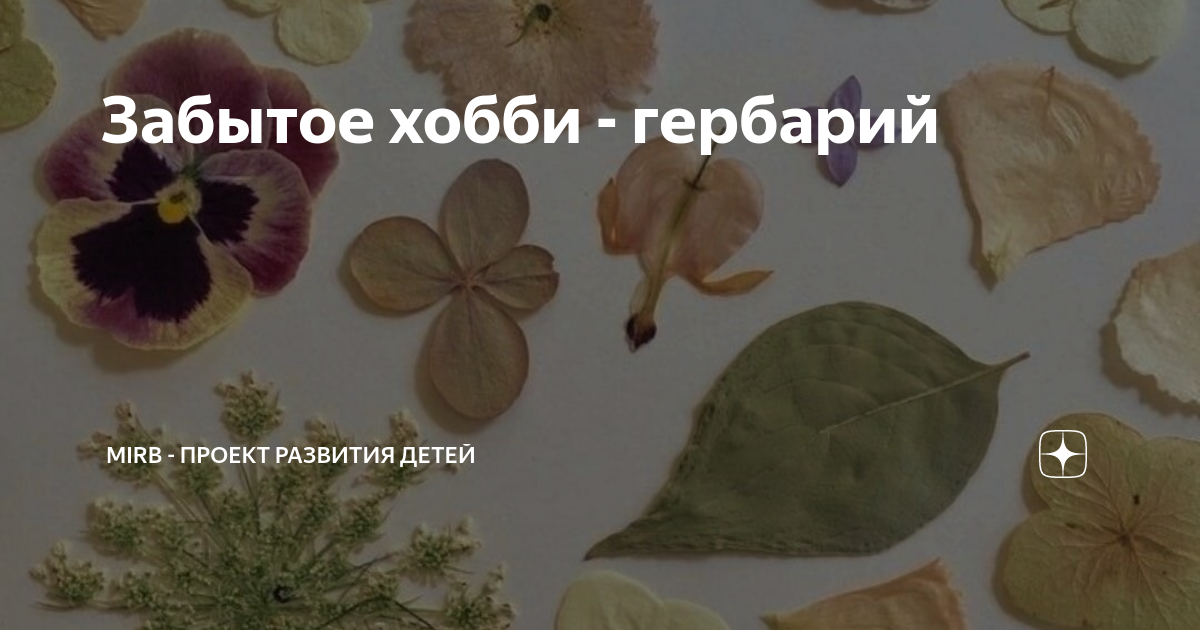 Естественно-научная коллекция " Коми-Пермяцкий краеведческий музей им. П.И. Субб