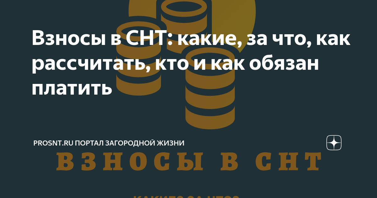 Размер членских взносов при наличии несколько участков в СНТ: будут ли двойные платежи?