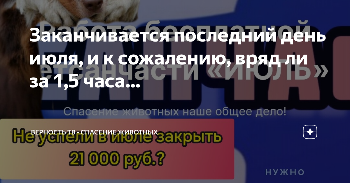 Каналы верности. Каналы верности. Приют верность смоленск эмблема. Каналы верности. Каналы верности.