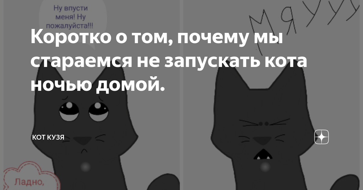 Запусти кота