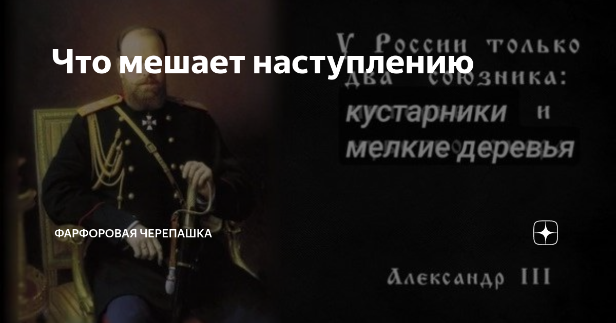 Что мешает наступлению | Фарфоровая черепашка | Дзен