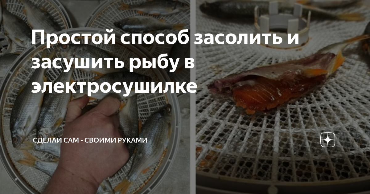 Сушилка для рыбы и мяса своими руками