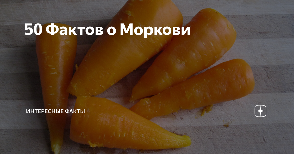 Интересные факты о моркови