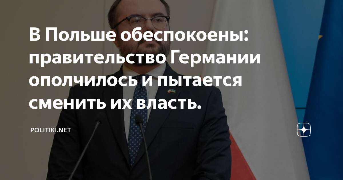 В Польше обеспокоены: правительство Германии ополчилось и пытается ...
