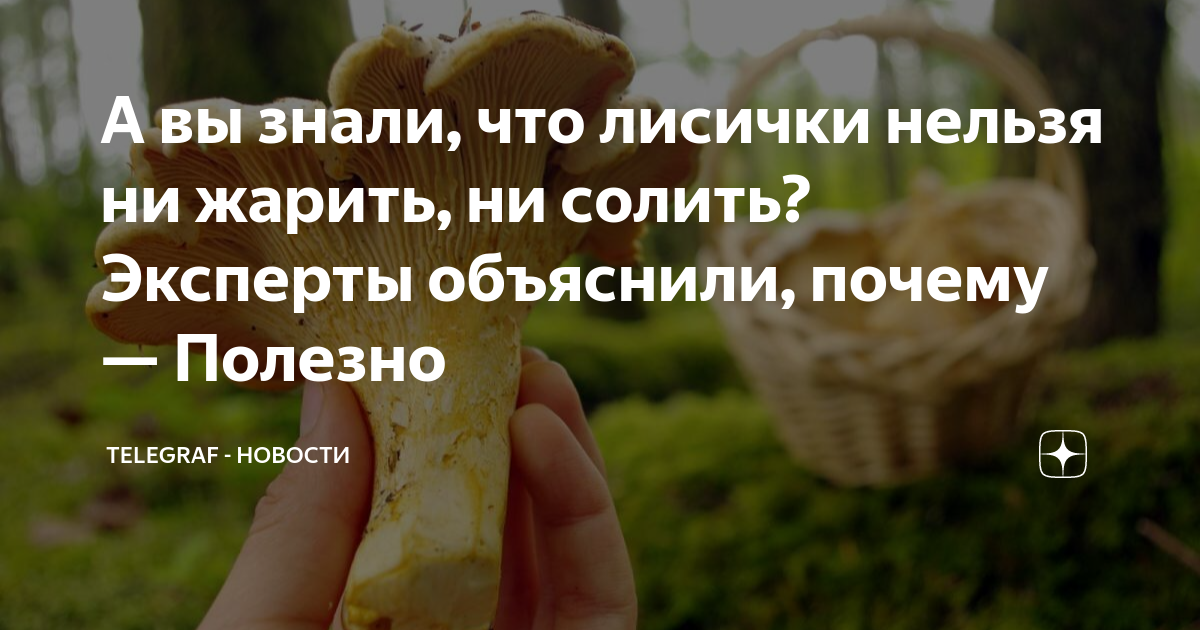 А вы знали, что лисички нельзя ни жарить, ни солить? Эксперты объяснили ...