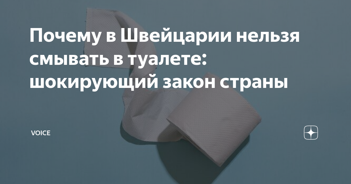 В швейцарии запрещено смывать в туалете после 22