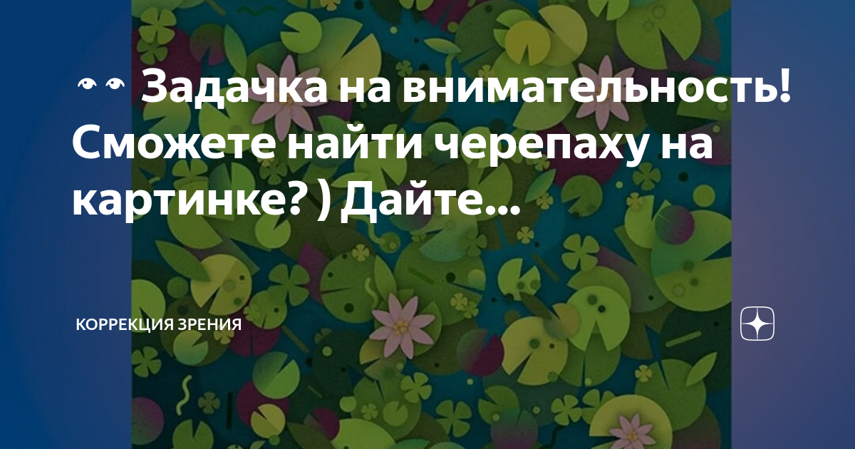 Задания на внимание для дошкольников. Картинка найти черепаху. Звездчатая черепаха в террариуме. Венгерский художник гергели дудаш. Картинка найти черепаху.