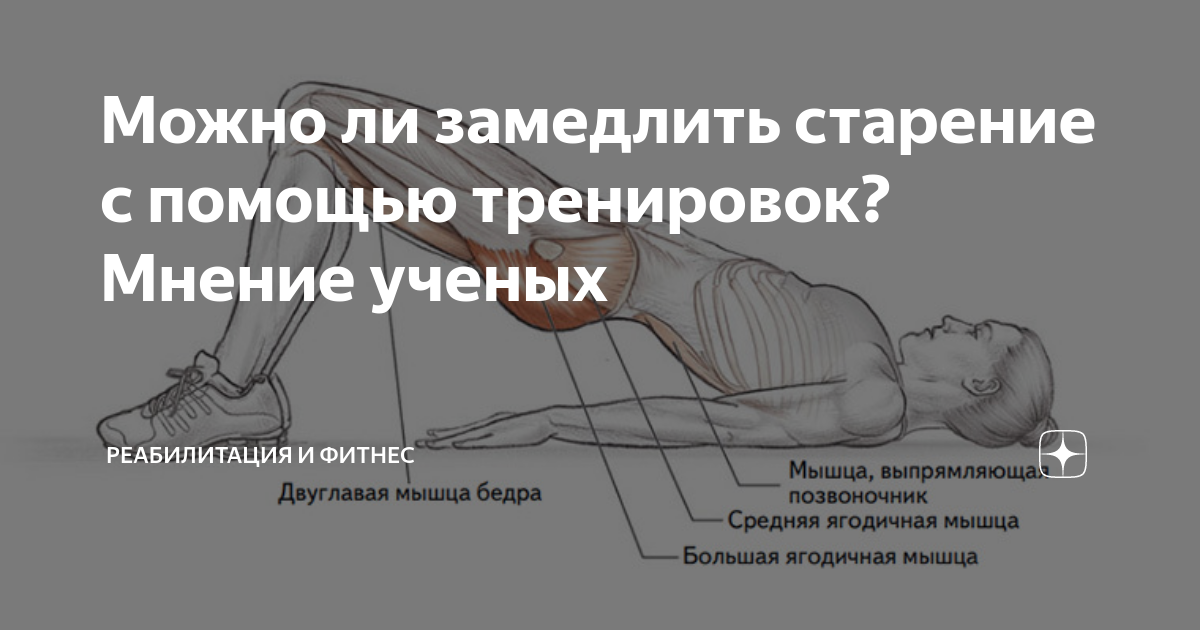 Подзаголовок 2: Кардио тренировки