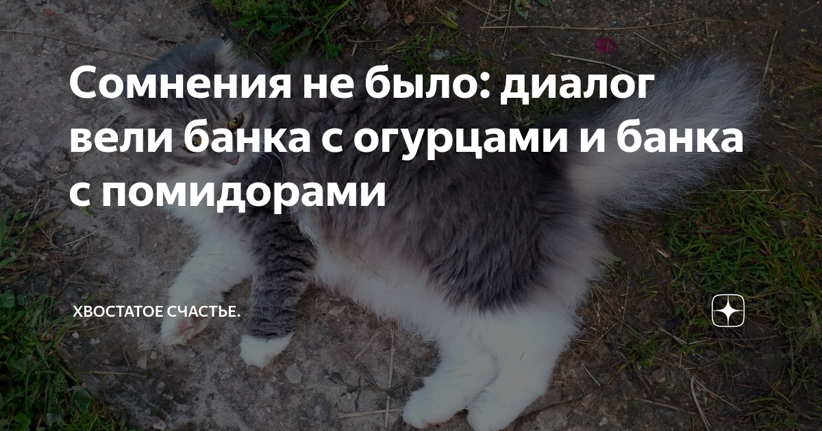 Сомнения не было: диалог вели банка с огурцами и банка с помидорами ...