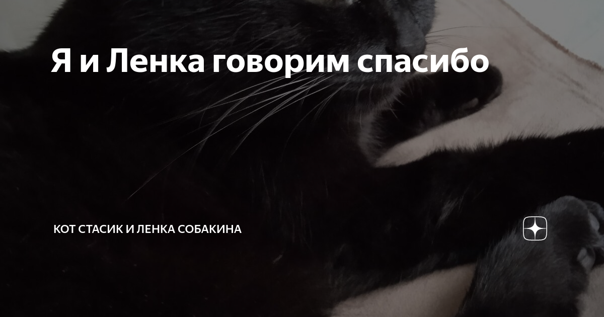 Я и Ленка говорим спасибо | Пенсионерка Собакина и ее кот Стасик. | Дзен