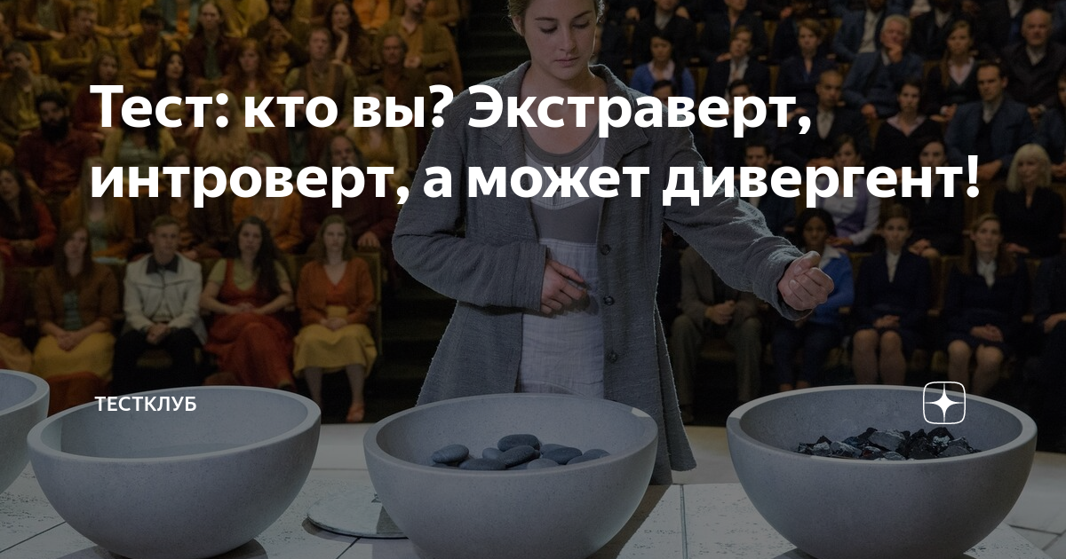 Тест: кто вы? Экстраверт, интроверт, а может дивергент! | ТестКлуб | Дзен