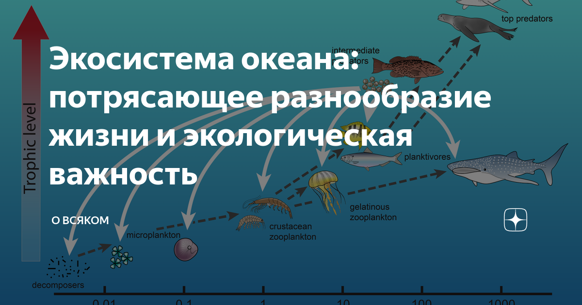Изучите фрагмент экосистемы океана. Табличка разнообразие классов живых существ на земле.