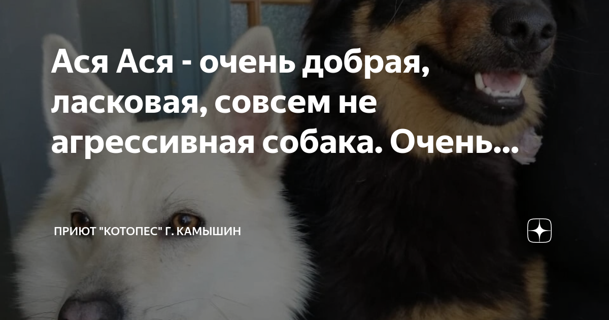 Стихи для души. Анекдоты про татьяну в картинках. Скажи что-нибудь приятное прикол. Рысь фото. Открытки дорогому мужчине.